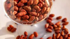 دانشمندان هلندی محصولی را نامگذاری کرده‌اند که حافظه و رگ‌های خونی مغز را بهبود می‌بخشد.