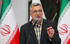 ظفرقندی: مسئله جمعیت ارتباطی مستقیم با سلامت و توسعه پایدار کشور دارد