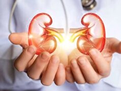 معرفی ۵ خوراکی و دشمن سنگ کلیه
