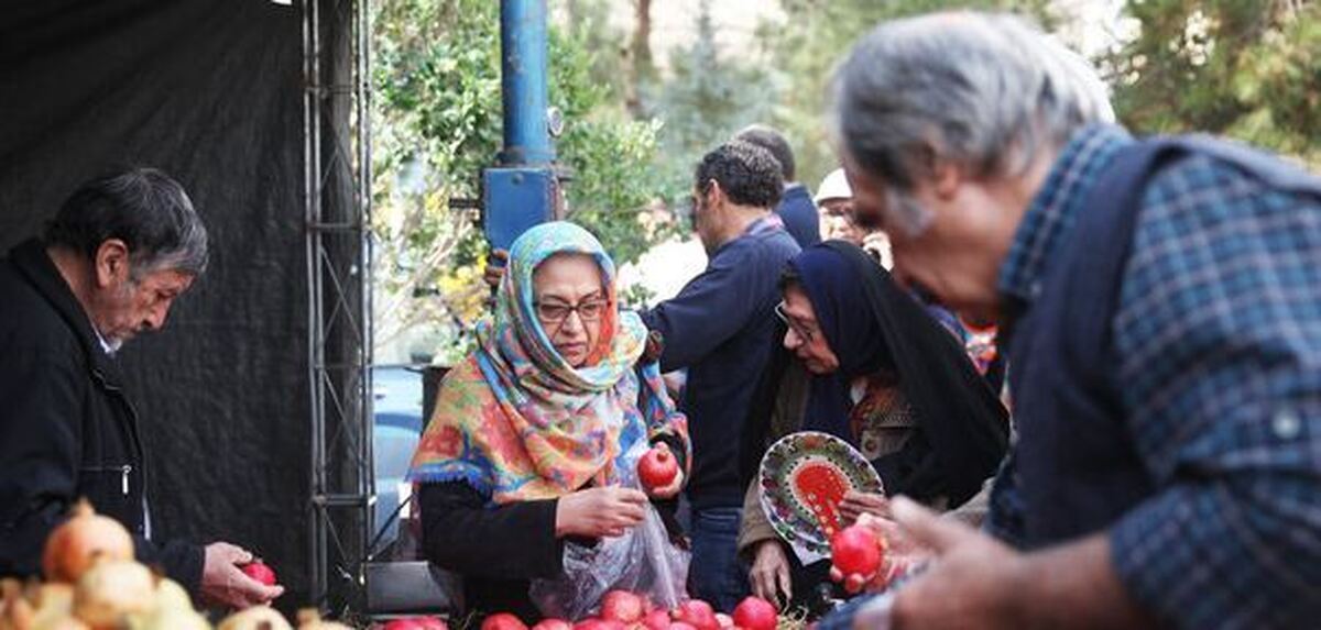 برپایی سومین جشنواره ملی انار و خرمالوی شیراز
