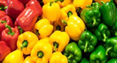 خواص فلفل دلمه با رنگ‌های مختلف