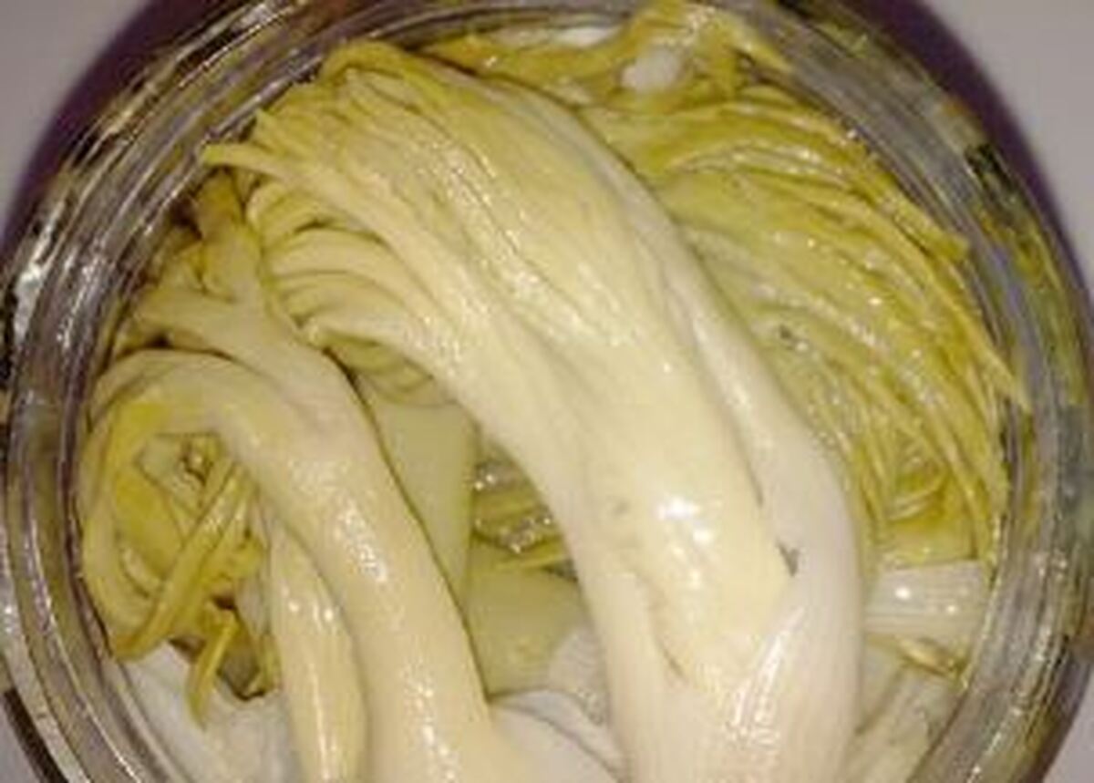 با چند قلم مواد اولیه ساده و ارزان ترشی خوشمزه زو را آماده کنید