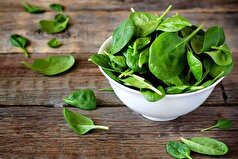 روش نگهداری درست اسفناج برای طولانی مدت از خواص این سبزی غافل نشوید