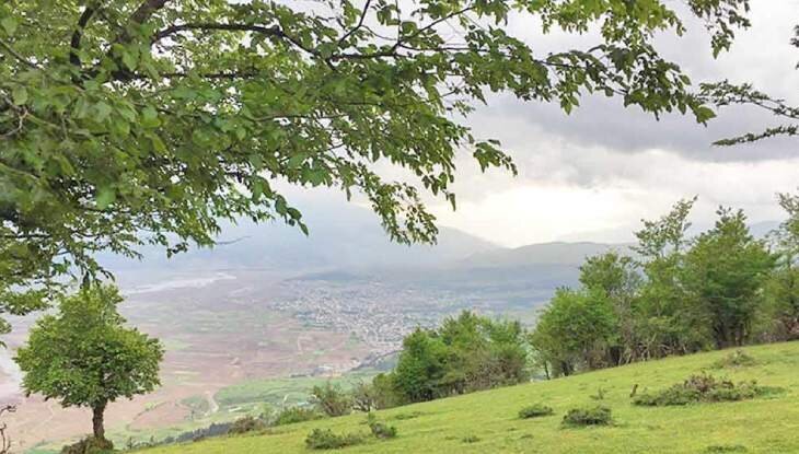 چرا جنگل نقلهبر یک لوکیشن مناسب برای سفرهای پاییزی است؟ چرا جنگل نقلهبر یک لوکیشن مناسب برای سفرهای پاییزی است؟