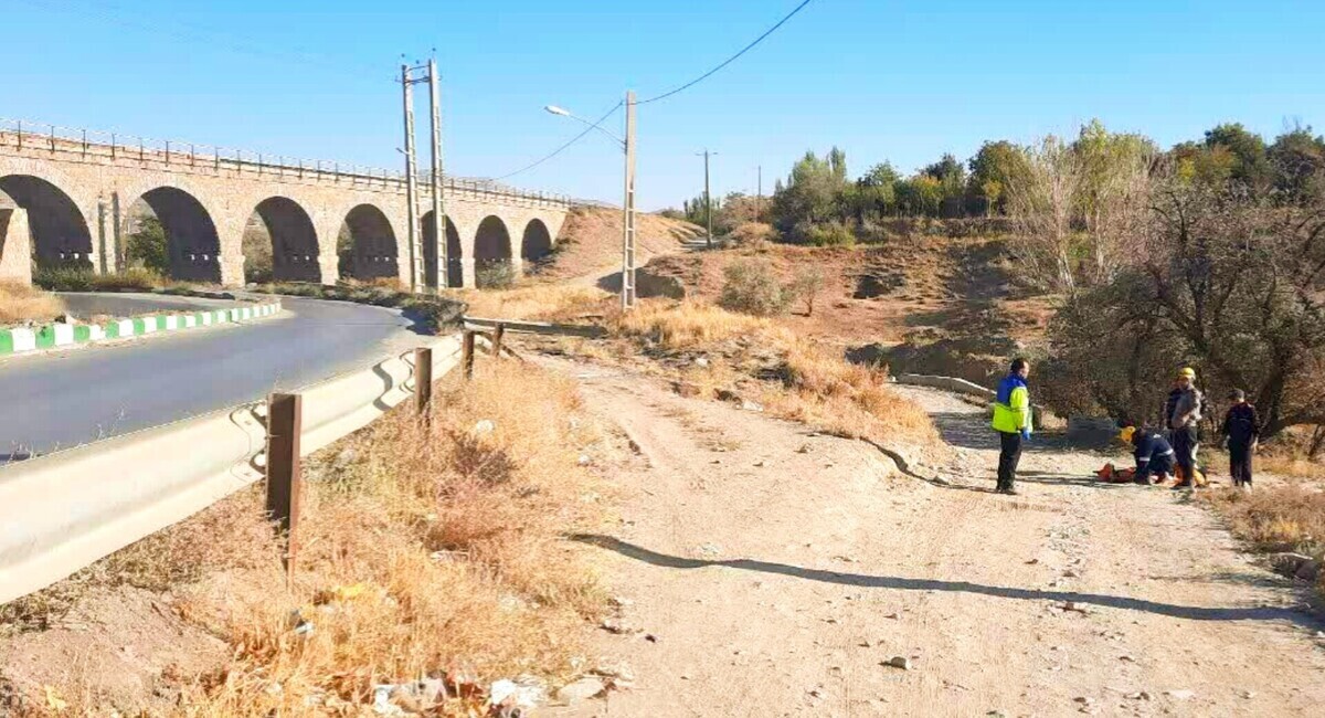 حمله سگ‌های ولگرد به مرد ۳۴ ساله خبرساز شد