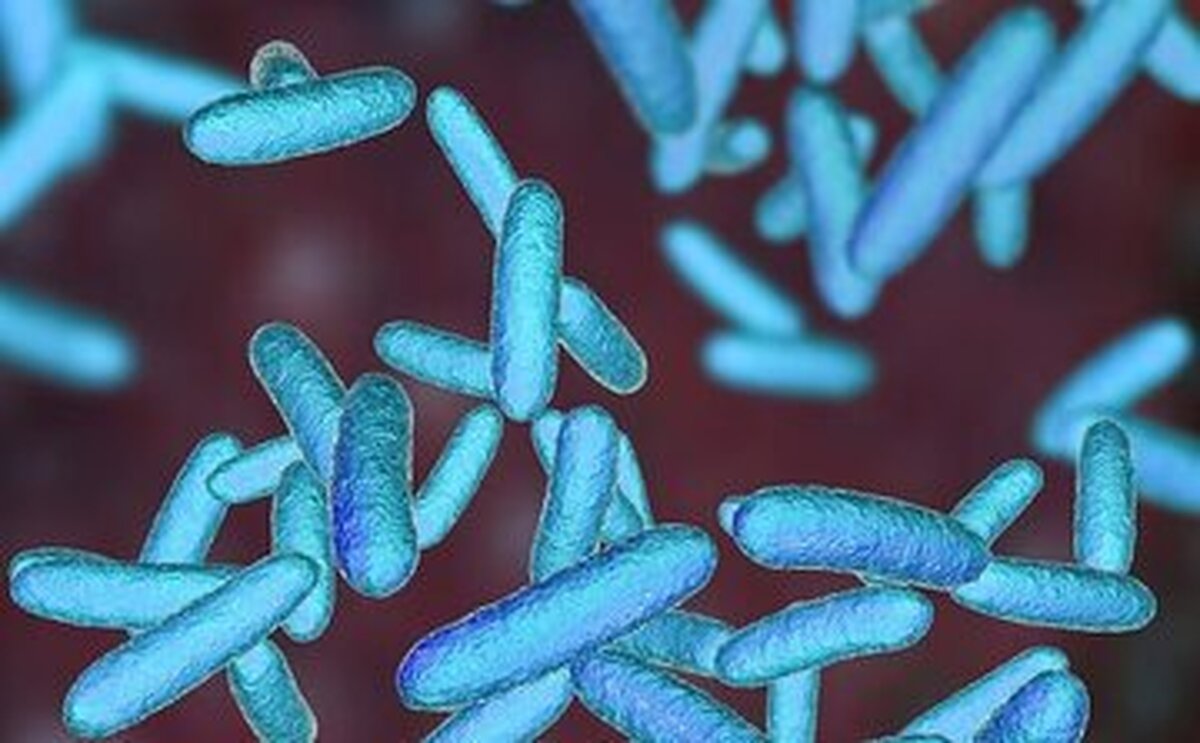 بطری‌های آب چندبار مصرف میتوانند محل رشد باکتری باشند!