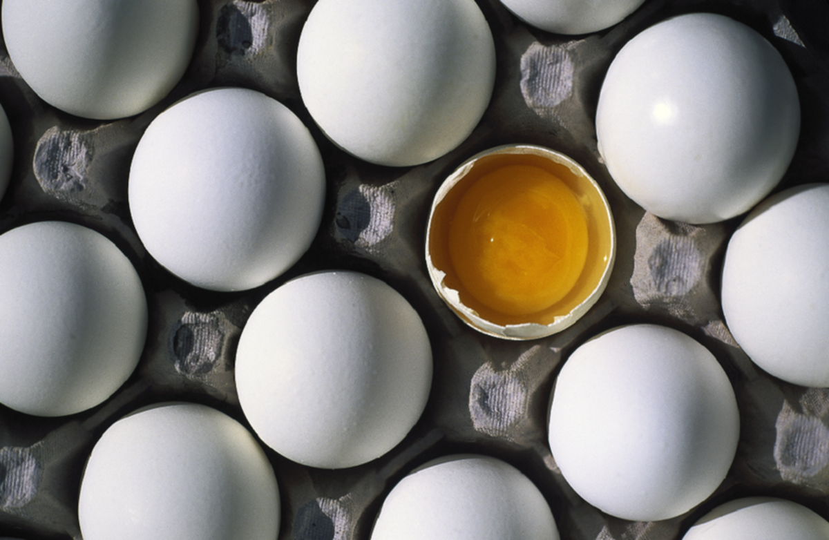 میلیون‌ها بسته تخم‌مرغ آلوده به سالمونلا در ایالات متحده جمع‌آوری شد