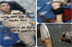 یکی از اراذل و اوباش سابقه‌دار مشیریه به دام پلیس افتاد