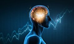 مطالعه: مغز دارای 