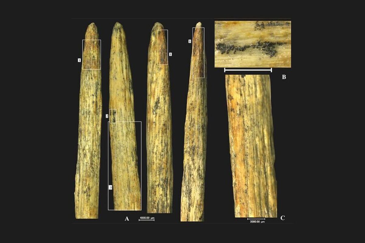 قدیمی‌ترین سرنیزه استخوانی در اروپا در روسیه کشف شد