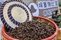 برزیل رکورد صادرات قهوه به روسیه را شکست