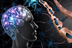 ام اس، بیماری با ردپای پررنگ‌تر در دامن زنان‌ام اس، بیماری با ردپای پررنگ‌تر در دامن زنان