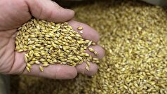 ازبکستان در جمع ۱۰ کشور برتر خریدار محصولات غذایی روسیه قرار گرفت.