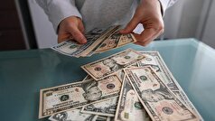 ترامپ نسبت به خطر بازگرداندن بیش از ۲ تریلیون دلار به شرکای تجاری آمریکا هشدار داد.