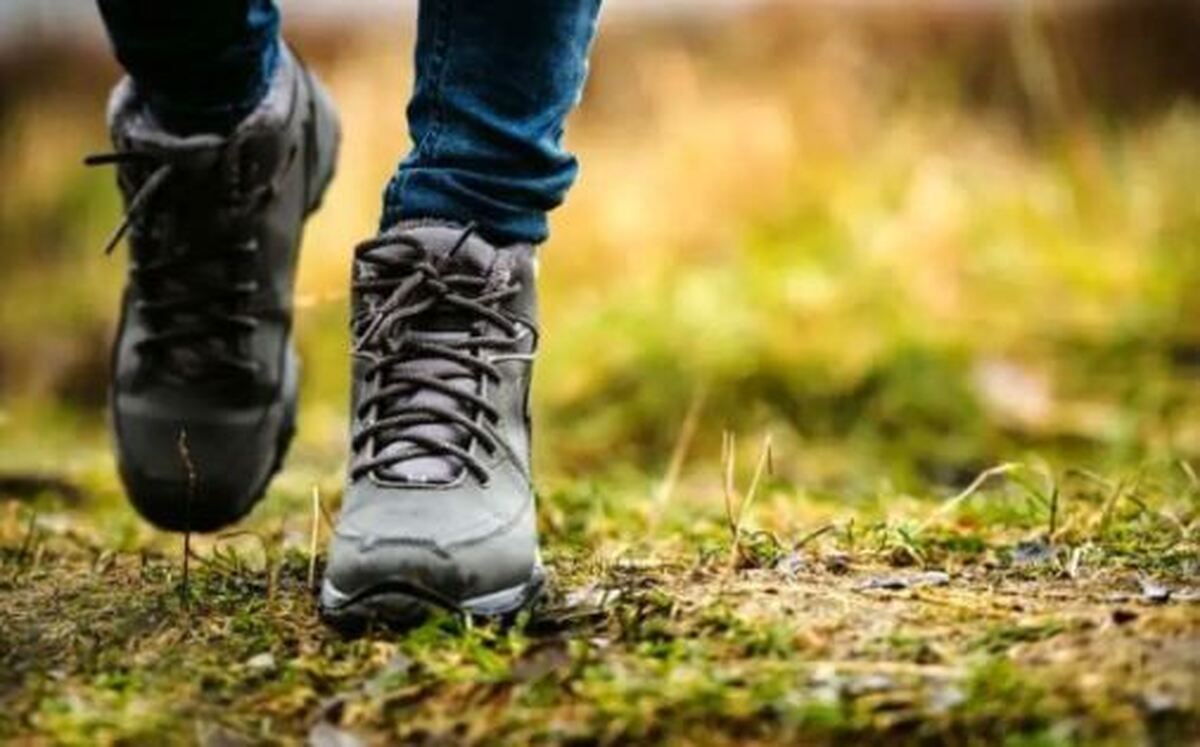 تنها راه شکست آلزایمر پیاده روی روزانه است