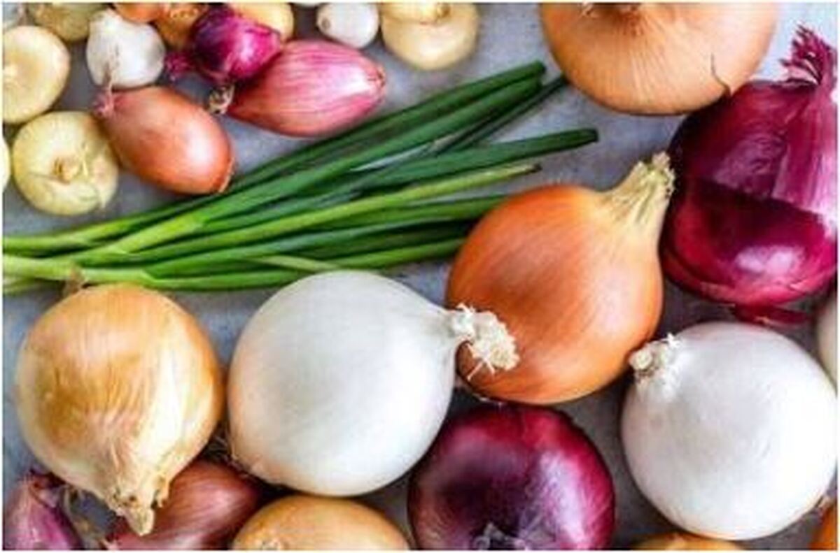 خواص پیاز با کدام رنگ بیشتر است؟ قرمز یا سفید؟