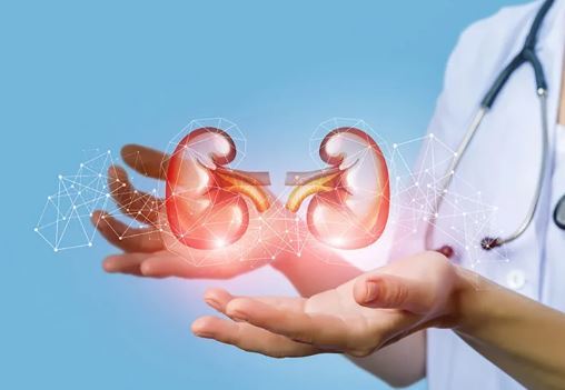 آیا به وجود آمدن کیست کورتیکال در کلیه نگران کننده است؟ آیا به وجود آمدن کیست کورتیکال در کلیه نگران کننده است؟