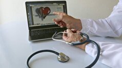 یک متخصص قلب، امکان از بین بردن پلاک‌های کلسترول با رژیم غذایی را ارزیابی کرد.