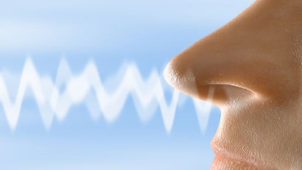 کاهش حس بویایی در افراد مسن نشانه هشدار اولیه برای یک بیماری جدی