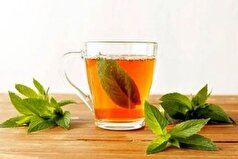 التهابات بدن را به کمک این گیاه در دسترس و پر طرفدار کاهش دهید