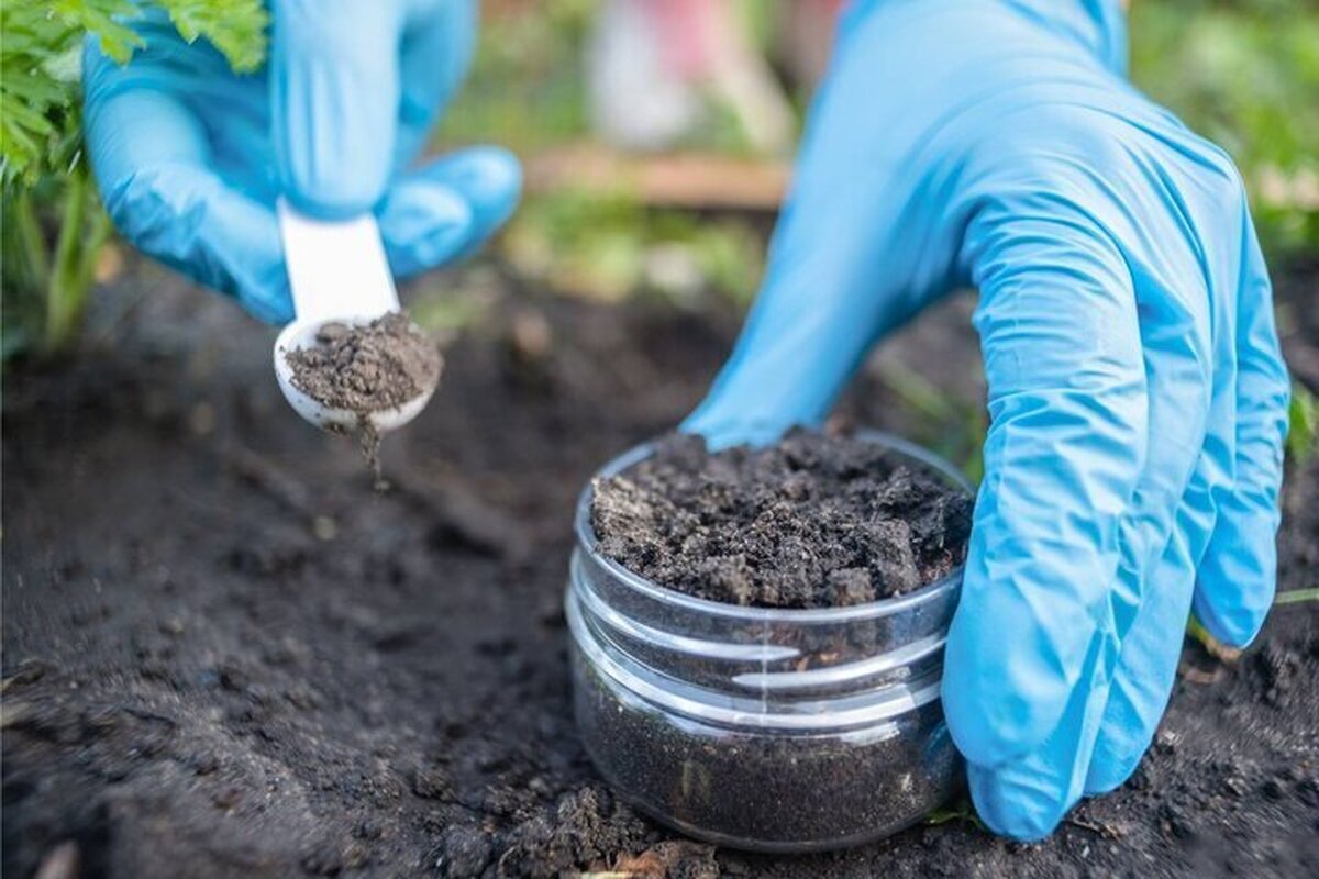 باکتری‌های مقاوم به دارو با کشف جدید دانشمندان نیست و نابود می‌شوند