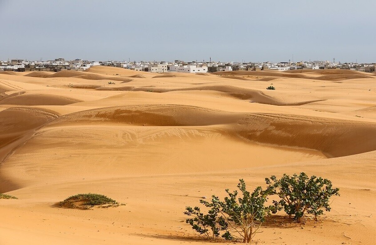 افزایش بارندگی می‌تواند چهره صحرای بزرگ آفریقا را تا سال ۲۱۰۰ به طور اساسی تغییر دهد