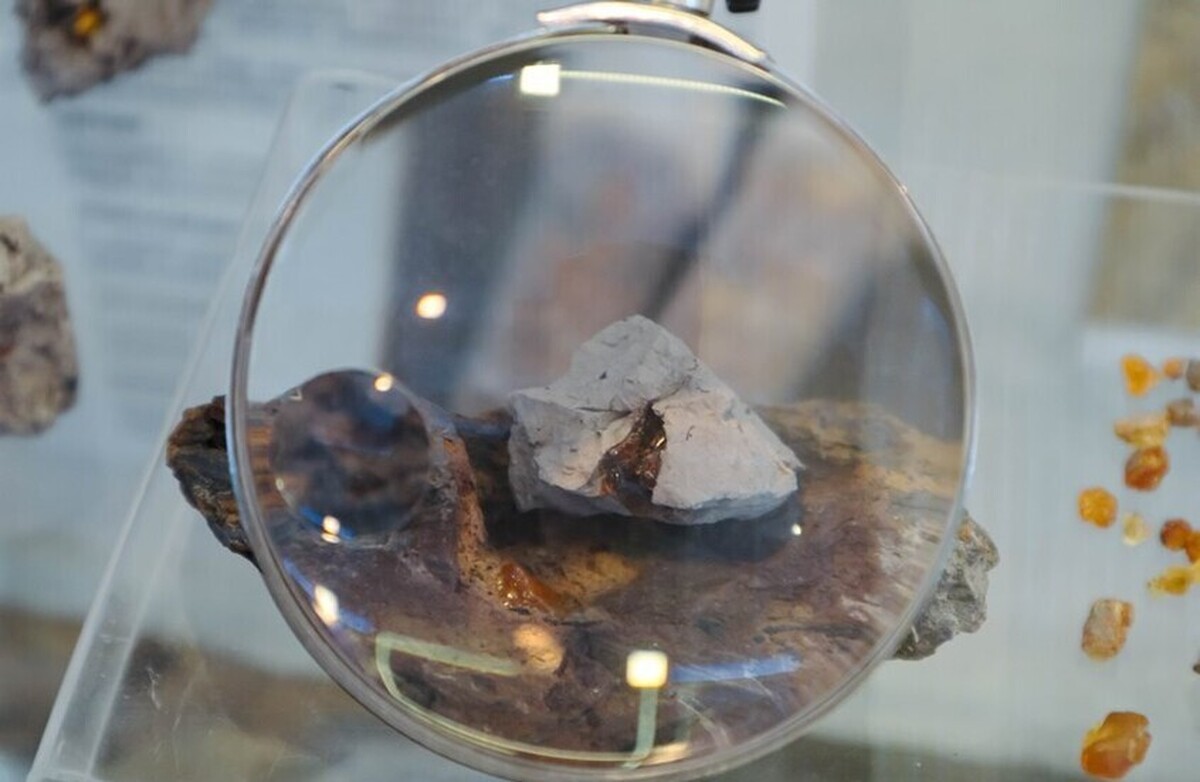 روسیه: کهربا با قدمت بیش از ۱۰۰ میلیون سال کشف شد!