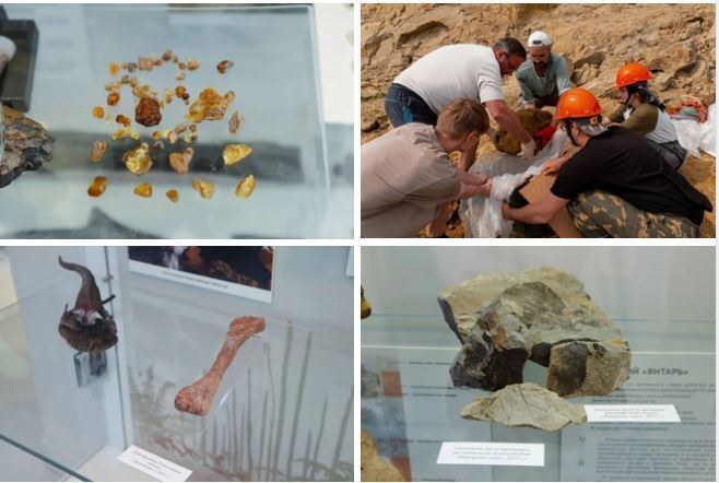 روسیه: کهربا با قدمت بیش از ۱۰۰ میلیون سال کشف شد!