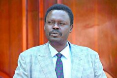 فرماندار دارفور: ۸۵ درصد از نیرو‌های واکنش سریع، خارجی هستند