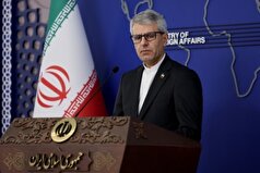 تسلیت بقائی به خانواده‌های قربانیان سقوط هواپیمای نظامی ترکیه