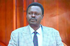 حاکم دارفور: ۸۵ درصد از نیرو‌های «پشتیبانی سریع» خارجی هستند