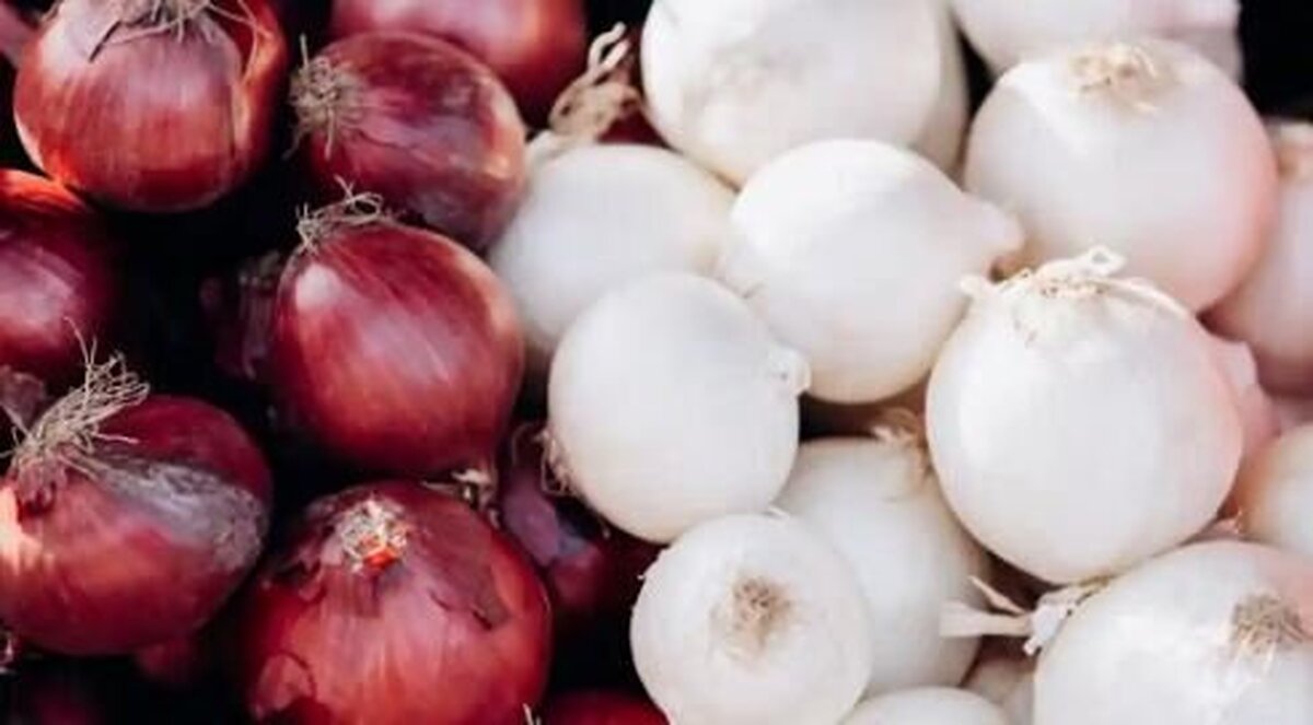 ارزش غذایی پیاز‌های قرمز و سفید تفاوت دارد؟