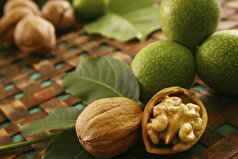 خوردن گردو در شب بر مزایای آن می‌افزاید!