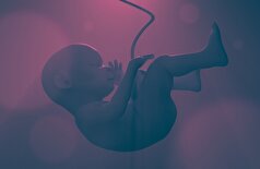 جایگزینی برای انکوباتورها: رحم مصنوعی که به نوزادان نارس فرصتی برای تکمیل رشدشان می‌دهد