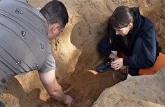 کشف ردپای باکتری پنوموکوک در بقایای انسانی عصر برنز در روسیه