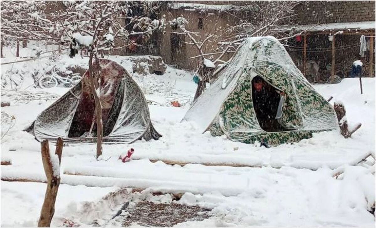 منتظر یک زمستان غیر سرد و سخت باشید!