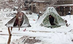 افشاگری درباره موضوع استفاده صهیونیست‌ها از فلسطینیان به‌عنوان سپر انسانی