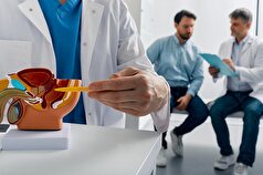 WJMH: روغن جینسینگ قرمز پروستاتیت و اختلال نعوظ را درمان می‌کند