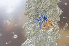 یک آزمایش روی زمین، دانشمندان را به یافتن حیات در منظومه زحل امیدوار کرد