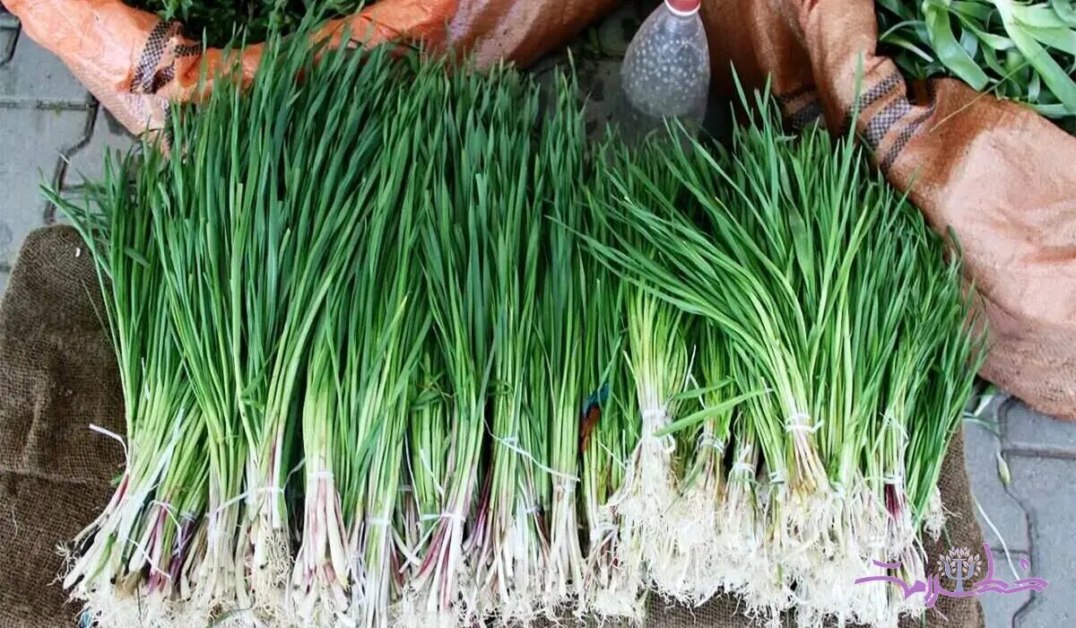 صفر تا صد تهیه آش شنگ؛ غذای اصیل لرستان که باید امتحان کنید!