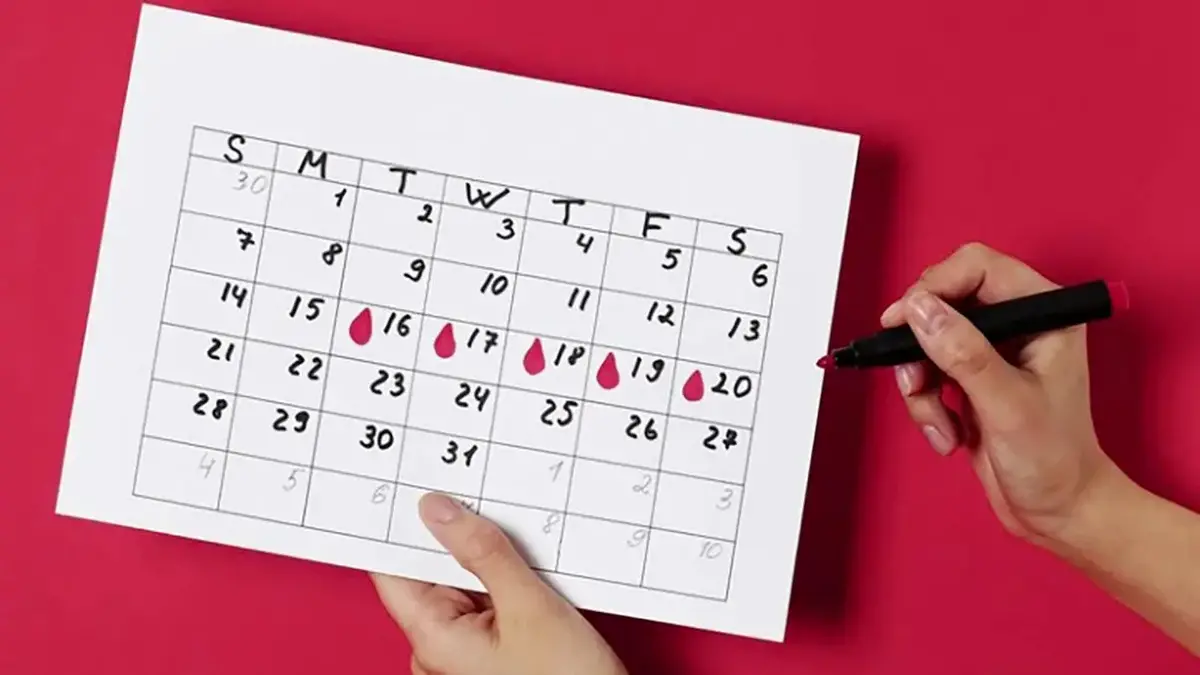 در مورد روند تخمک‌گذاری این نکات را بدانید!