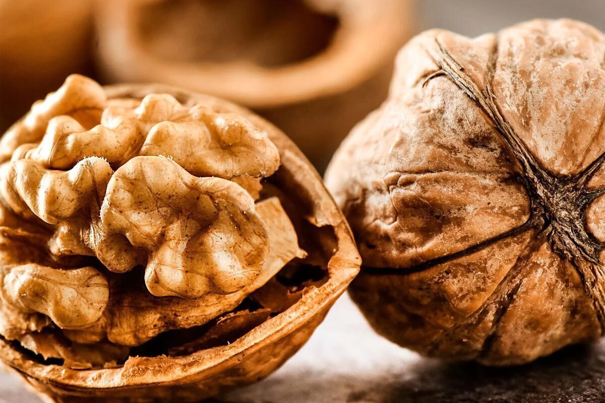 فواید بی نظیر گردو را بیشتر بشناسید/چگونه از خواص این مغز معجزه آسا بیشتر بهره ببریم؟