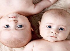 عملکرد طبیعی تخمدان‌ها و نقش آنها در بارداری