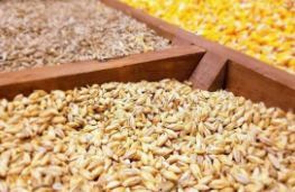 بازگشت آرامش طی ۲ هفته آینده به بازار نهاده دامی