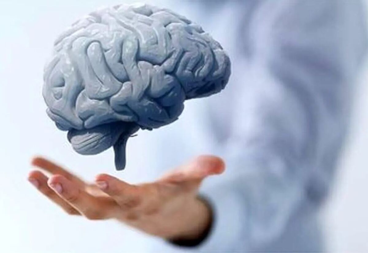 ۸ میوه برای تقویت حافظه و بهبود ضریب هوشی