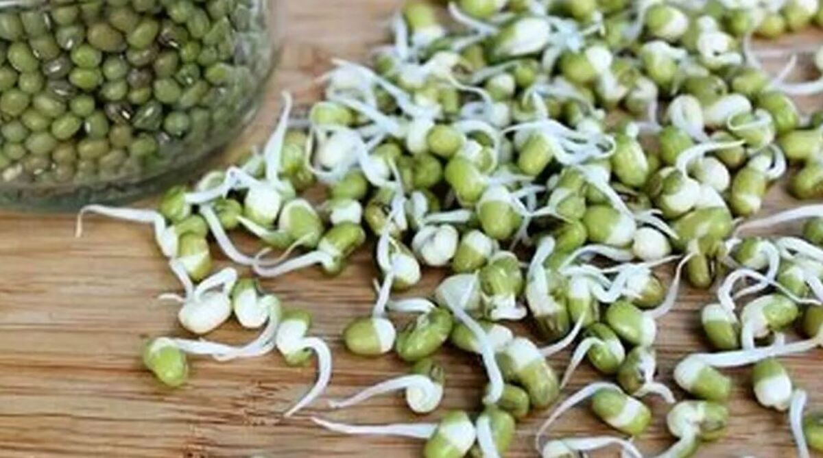 تامین ویتامین و پروتئین مورد نیاز بدن با این جوانه پر خاصیت