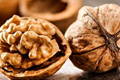 فواید بی نظیر گردو را بیشتر بشناسید/چگونه از خواص این مغز معجزه آسا بیشتر بهره ببریم؟