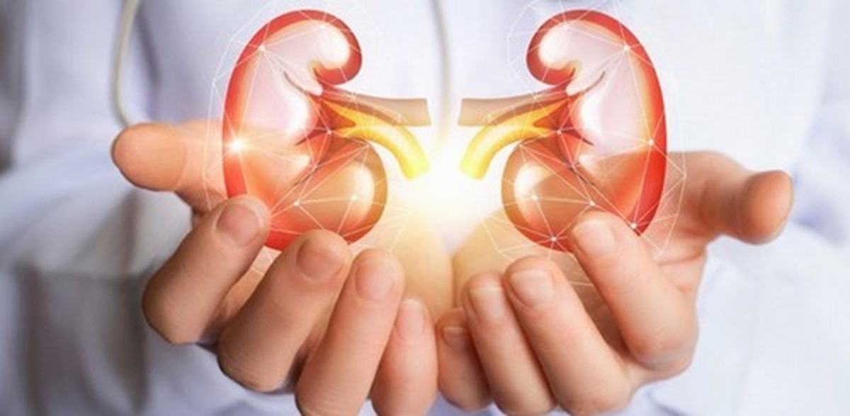 برای در امان ماندن از این بیماری کلیوی از آزمایش ادرار غافل نشوید!