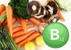 ۵ منبع گیاهی برای تامین ویتامین B ۱۲، مخصوص گیاه خواران