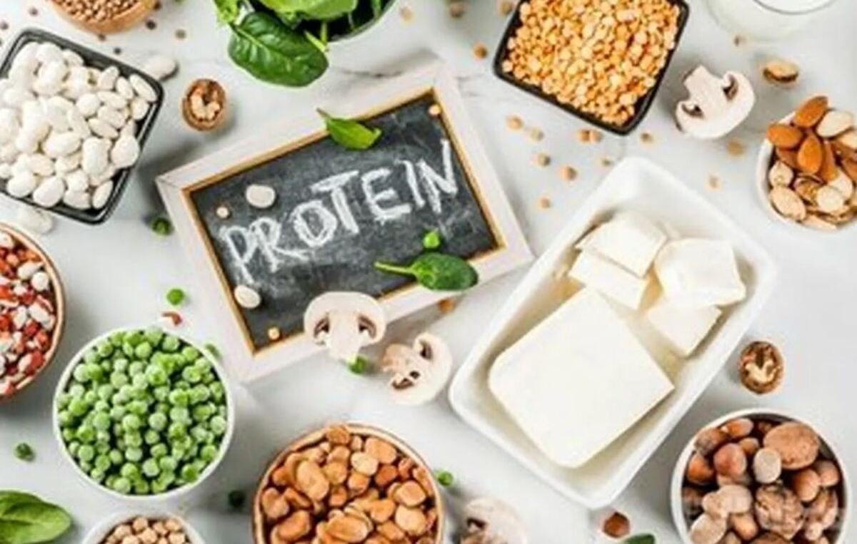 منابع مهم گیاهی و حیوانی برای ساخت عضله